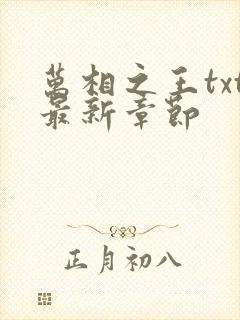 万相之王txt最新章节