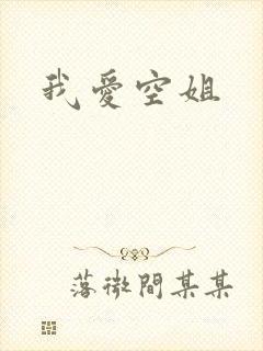我爱空姐封面