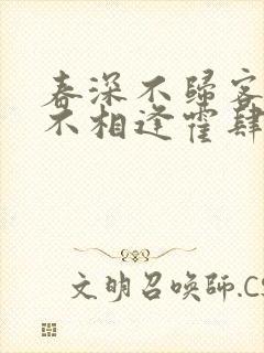 春深不归客清梦不相逢霍肆季毓清小说封面