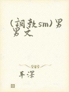 (调教sm)男男文封面