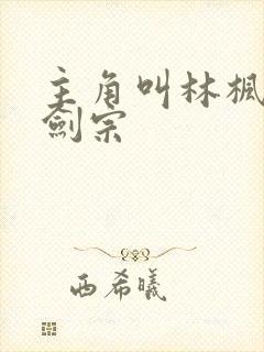 主角叫林枫神霄剑宗封面