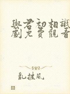 与君初相识电视剧免费观看40集