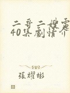 二哥二嫂电视剧40集剧情介绍