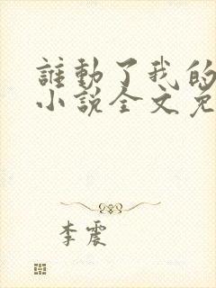 谁动了我的老婆小说全文免费阅读封面