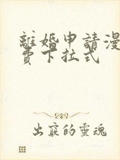 离婚申请漫画免费下拉式封面