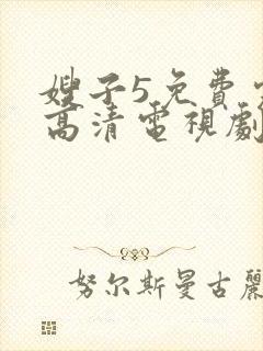 嫂子5免费完整高清电视剧在线观看