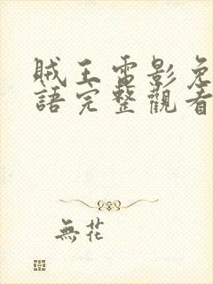 贼王电影免费国语完整观看