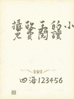 摄政王的小娇妃免费阅读封面