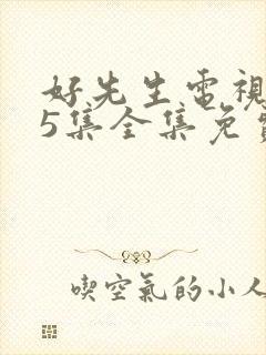 好先生电视剧45集全集免费封面