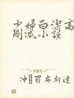 少妇白洁高义无删减小说