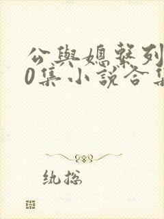 公与媳系列100集小说合集