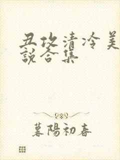 丑攻清冷美人小说合集封面