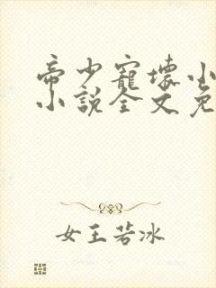 帝少宠坏小娇妻小说全文免费阅读