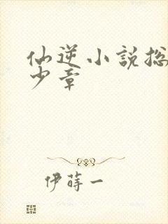 仙逆小说总共多少章封面