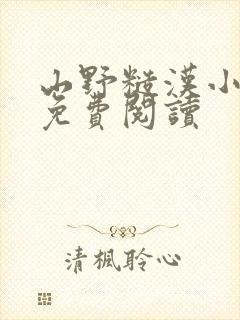 山野糙汉小娇娘免费阅读