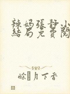 辣妈张静小说大结局免费阅读封面