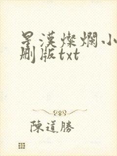 星汉灿烂小说未删版txt