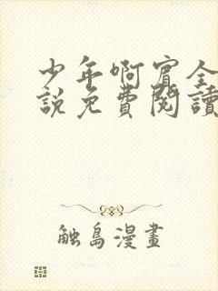 少年啊宾全文小说免费阅读笔趣阁