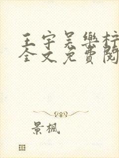 王宇吴乐柠小说全文免费阅读最新章封面