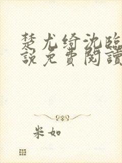 楚尤绮沈临砚小说免费阅读最新章节封面