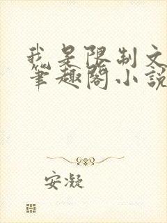 我是限制文的女笔趣阁小说