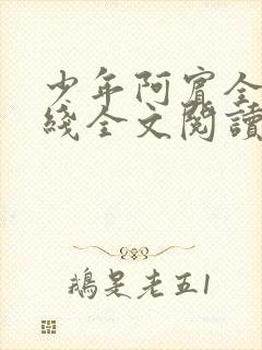 少年阿宾全文在线全文阅读