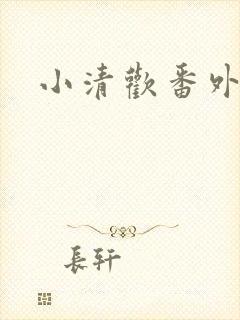 小清欢番外封面