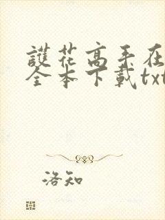 护花高手在都市全本下载txt