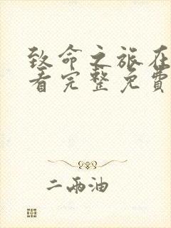 致命之旅在线观看完整免费封面