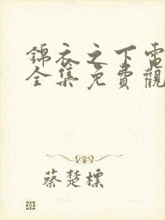 锦衣之下电视剧全集免费观看高清