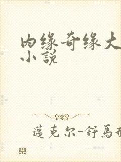 内缘奇缘大团圆小说