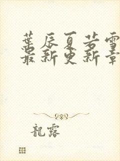 叶辰夏若雪孙怡最新更新章节封面