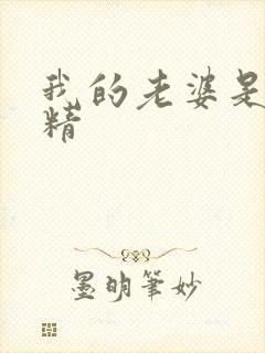 我的老婆是狐狸精