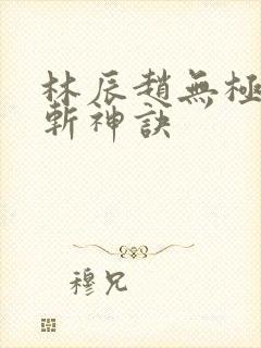 林辰赵无极九天斩神诀