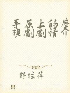 平原上的摩西电视剧剧情介绍封面