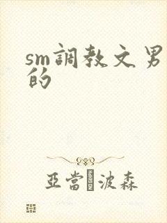 sm调教文男男的封面