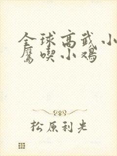 全球高武小说老鹰吃小鸡