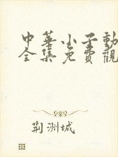 中华小子动画片全集免费观看高清