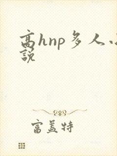 高hnp多人小说