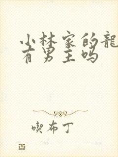 小林家的龙女仆有男主吗