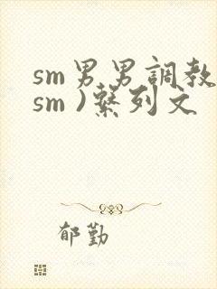 sm男男调教(sm )系列文