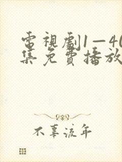 电视剧1—40集免费播放