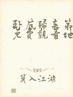 卧底归来第2部免费观看地址