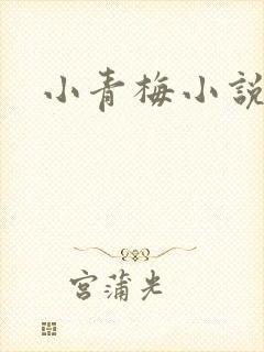 小青梅小说封面