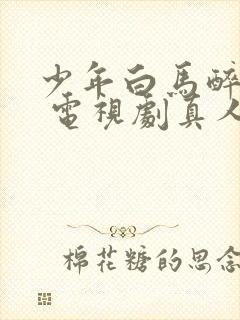 少年白马醉春风 电视剧真人版