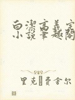 白洁高义完整版小说笔趣阁封面