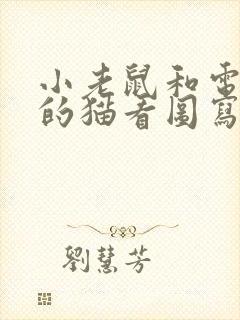 小老鼠和电脑里的猫看图写话