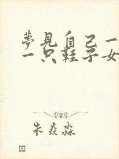 梦见自己一样穿一只鞋子女人