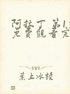 阿拉丁 第1季免费观看完整版在线全集封面