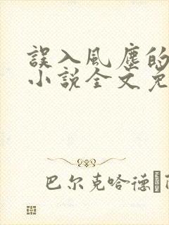 误入风尘的爱情小说全文免费阅读封面